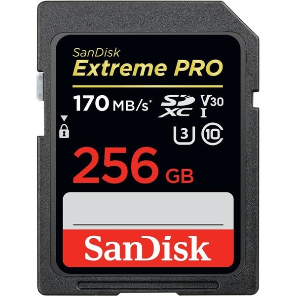 Karta pamięci SD Sandisk SDXC 256 GB Ultra Class 10 UHS-I
