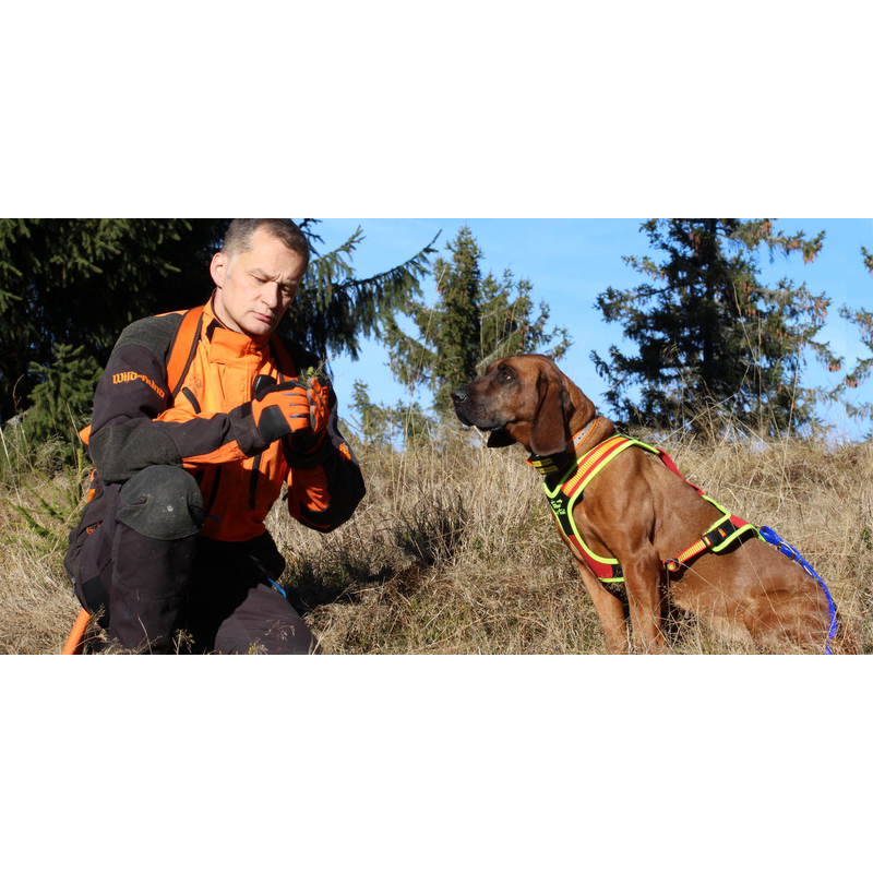 Szelki dla psa do poszukiwania postrzałka Niggeloh Follow Trail   1