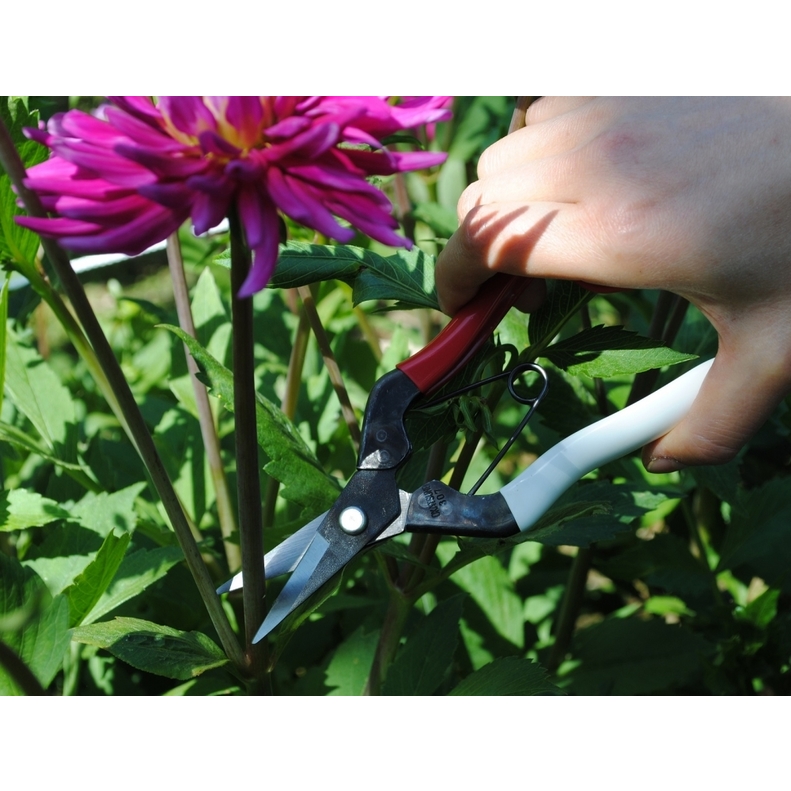 Profesjonalne nożyce ogrodowe Okatsune 307 2